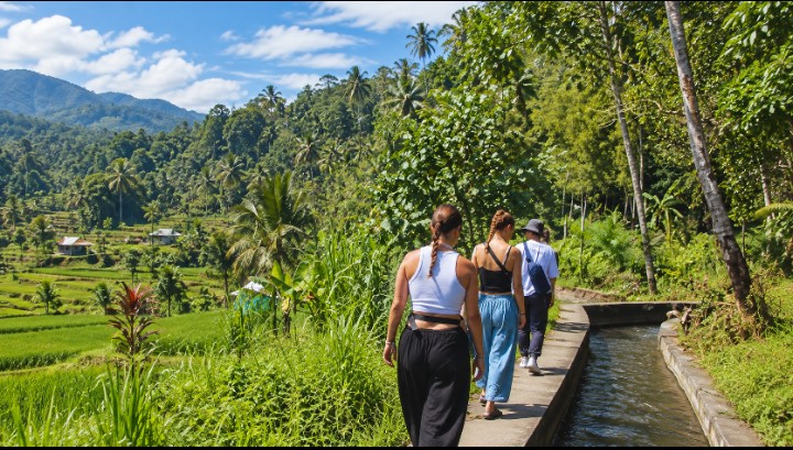 Sidemen Rice Terrace Walk