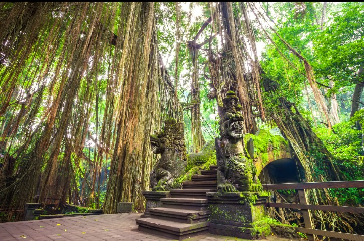Monkey Forest Gate